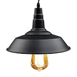 LNC 10" Industrial Matte Black Farm Light Warehouse Pendant Light [並行輸入品]
