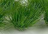 プラッツ ジオラマ素材シリーズ 草むら・草丈9mm (深緑・26株セット) 情景素材 MDB-13