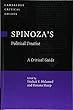 Spinoza's Political Treatise: A Critical Guide (Cambridge Critical Guides)
