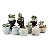 T4U 6CM 陶器鉢 流れ釉（3シェイプ）セット 黒＆白底 植木鉢 多肉植物 サボテン鉢、花鉢 容器 ミ二植木鉢 12個入り