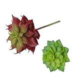 Baoblaze 人工花　多肉植物　生き生き　花瓶入れ　家庭　装飾　現実的　庭　赤＋緑　2個入り　