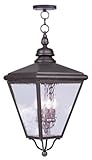 Livex Lighting 2037-07 Cambridge 4-Light Outdoor Chain Hang, Bronze by Livex Lighting
