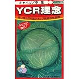 キャベツ 種 YCR理念 小袋（約100粒）