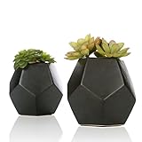 セットの2でリアルな人工多肉植物マットブラックモダン幾何セラミックポット – MyGift