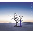 アイリス(初回生産限定盤)(DVD付)