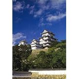 フジミ模型 1/500 建物シリーズ No.18 姫路城