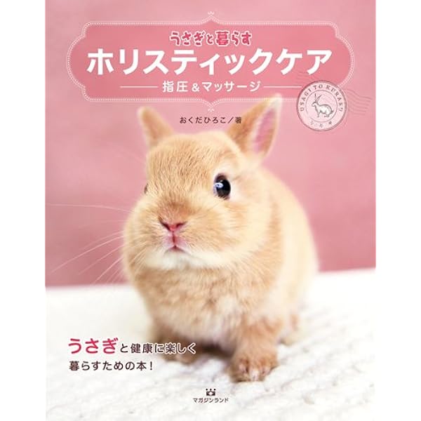 うさぎと暮らす ホリスティックケア 指圧 マッサージ おくだひろこ 本 通販 Amazon