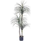 Amazon Viridii 人工観葉植物 フェイクグリーン160cm 170cm コンシンネ ドラセナ マルギナータ 緑 花 造花グリーン インテリア飾り用 ギフト フェイク 人気ランキング 光触媒 大型 記念樹 金運 仕事運 風水 人工観葉植物 オンライン通販