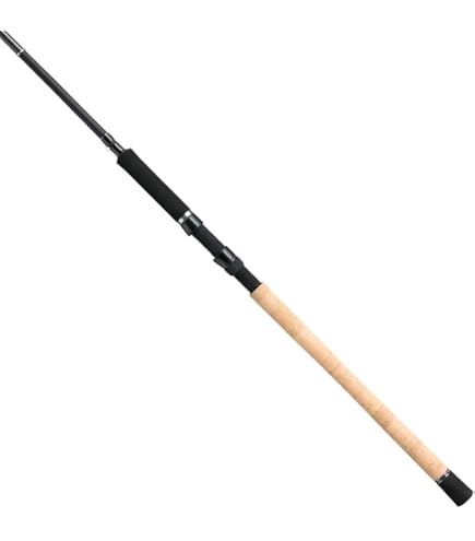 Amazon | テイルウォーク(Tailwalk) ロッド ケイソン 銀聖 PLUS 110H 