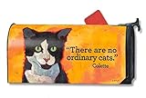 Magnet Works No Ordinary Cats Magnetic Mailbox Wrap Cover by MagnetWorks