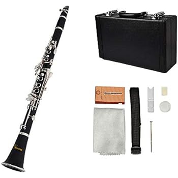 Amazon | Eastar ECL-300 クラリネット ニッケルメッキ B♭調 Clarinet ABS樹脂管体 ベーム式 お手入れ付 ...