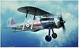 メリットインターナショナル 1/48 イギリス空軍 グロスター グラディエーター Mk1 プラモデル
