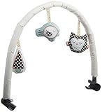 ヌナ nuna バウンサーヌナリーフ用トイバー(フクロウ、トリ、マッシュルーム) 03419