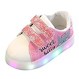 Tovadoo スニーカー 子供靴 男の子 女の子 猫柄 LED ライト付き光る靴 発光靴 七彩女の靴 LED輝　運動靴 無地 通気性よい 多色 四季用 可愛い カジュアル 通学 旅行 プレゼント 1