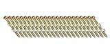 Fasco SCPS1013CSEG Scrail Fastener Coarse Thread 30-33-Degree Plastic Strip Electro-Galvanized Squar