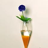 Merssavo クリエイティブアイスコーンの形状ハンギンググラスフラワープランターの花瓶テラリウムの容器ホームガーデンの装飾