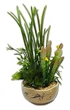 造花　フェイクグリーン　多肉植物　寄せ植え　サボテン　グリーンプラント　インテリアグリーン　D