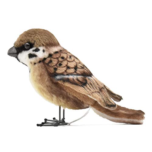 Sparrow Finders Fee
