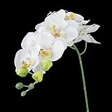 adeeing 1 PieceシミュレーションバタフライOrchid人工花植物ホーム装飾ホワイト