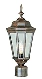 Transglobe Lighting 4096 RT Post Head with Clear Glass Shade, Rust Finished by Trans Globe Lighting