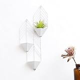壁掛け三階建ての蘭のフレームのリビングルーム錬鉄製の壁掛け多層の吊り屋内の花ラック (色 : A)
