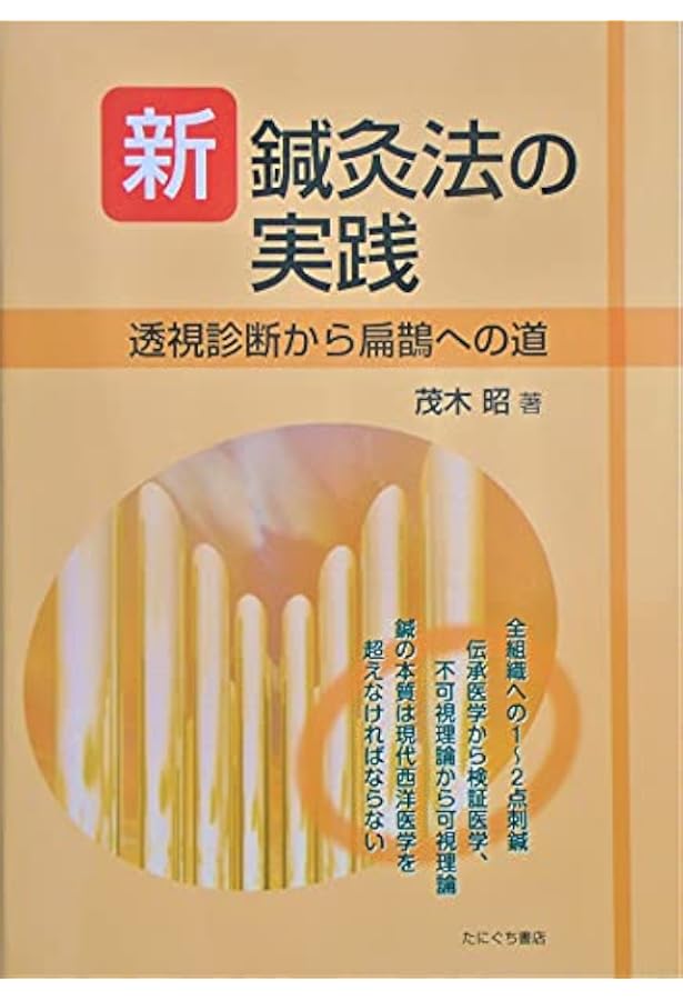 奇跡の新鍼灸と手技治療: 二千数百年の鍼灸史を覆した「半身症候鍼灸法