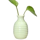 Gespout 花瓶 陶器 花器 一輪挿し 円柱 可愛い 花入 おしゃれ 水耕栽培用 装飾用品 ドライ花瓶 フローラ 容器 卓上置物 小さな口の花瓶 雑貨 人気 観葉植物
