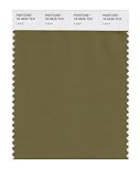 PANTONE SMART 18-0629X Color Swatch Card, Lizard [並行輸入品]
