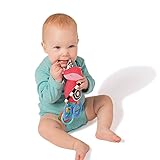Manhattan Toy Fun with Fox Rattle & Teether