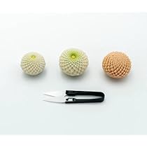 和菓子 練り切り 作成用道具 セット Amazon | 限定！KENNKUNN 和菓子道具セットねりきり上生菓子【 4種類の
