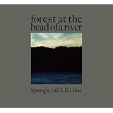forest at the head of a river
