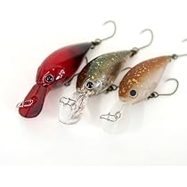 41-CJmZuwzL._AC_UL210_SR210,