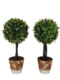 MedianField 【 トピアリー ボール 2個 セット 】 人工観葉植物 フェイクグリーン 造花 インテリア おしゃれ ミニ フェイク グリーン (トピアリー ボール)