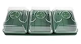 EarlyGrow 70782 3 Bay Windowsill Propagator with Capillary Tray and Mat by EarlyGrow