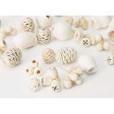 ミックスナッツ　小　約35ｇ入り　ホワイト [実 ドライ 木の実 アレンジ 資材 花材　白]