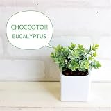 ユーカリ ミニプラント 消臭◎CT触媒加工 造花 観葉植物