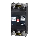 テンパール工業 配線用遮断器 B-123EC 125A