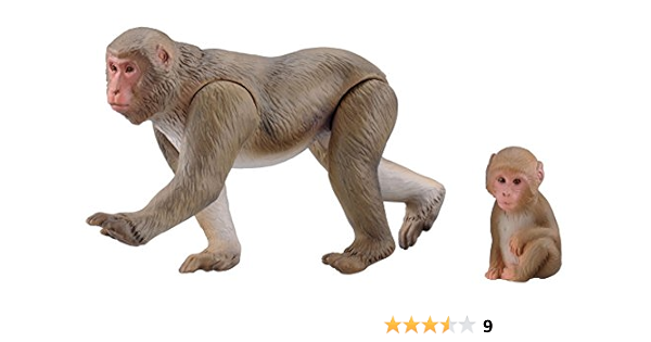 Amazon アニア 干支アニア 申 ニホンザル プラモデル 通販 Amazon アニア 干支アニア 申 ニホンザル プラモデル 通販