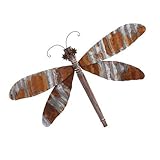 IMAX 65339 Corrugated Dragonfly Wall Decor [並行輸入品]