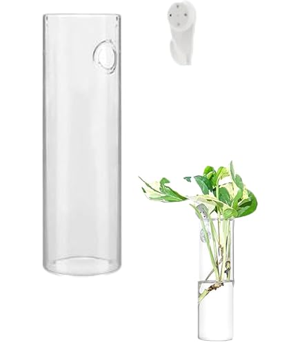 Amazon.co.jp: Fiegcit フラワーベース 試験管 壁掛け花瓶 一輪挿し