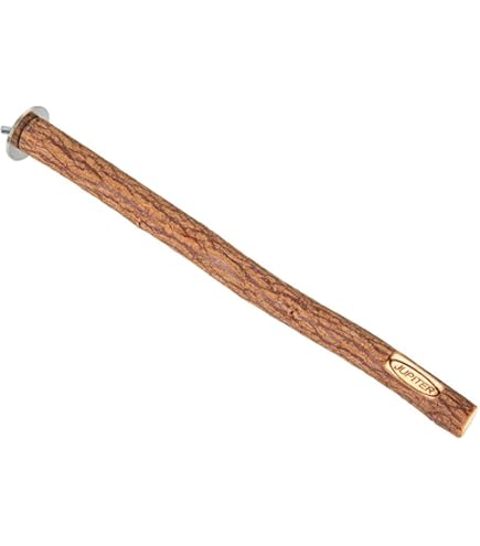 Amazon | 備長炭止まり木 S （小）長さ：約12cm 直径1.2～2cm