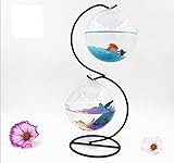 サスペンション ガラス球金魚鉢水耕栽培植物ホブ鉄形マイクロ風景サスペンションハートガーデンの装飾ラック (Type3)