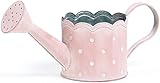 【ライナー付き】 BONBON Tin Pot ジョーロ型アレンジ S (21×8.5×10.5cm) 537-005P