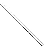 Amazon | ダイワ(DAIWA) 20 ライトヒラメX M-240・R | ダイワ(DAIWA