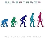 �t�����e�B�A�ւ̗�����