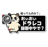 SignStore カメラを構える猫の交通安全ステッカー 8cm×16cm ビニール 日本製 car_character_01 (太まゆB)