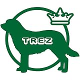14色 愛犬名 or 犬種名入り ラブラドール レトリバー ステッカー DOG ON BOARD【DOG IN CAR 愛犬 ワンコ 名入れ ネーム ドッグ 犬 カーサイン 名前 名前入れ】 (グリー