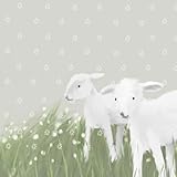 Oopsy daisy, Fine Art for Kids Sisters Stretched Canvas Art by Meghann O'Hara, 21 by 21-Inch by Oops