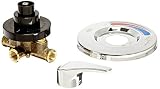 Zurn Z7300-SS-MT Tub And Shower Valve [並行輸入品]