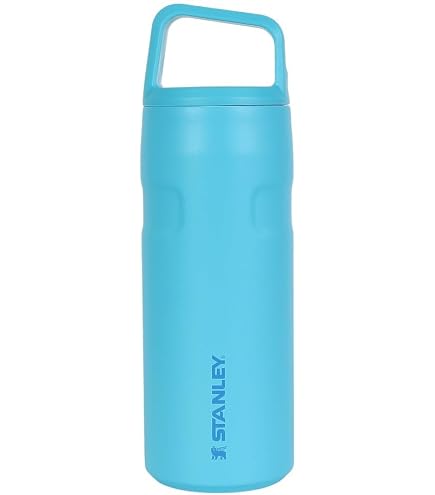 Amazon.co.jp: STANLEY(スタンレー) アイスフローフリップストロー